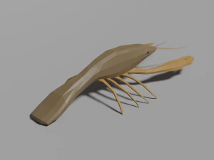 low-poly crayfish 3D Model