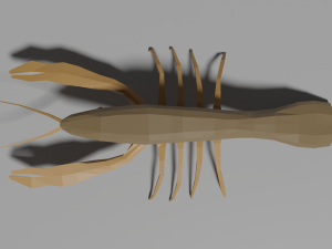 low-poly crayfish Modelo 3D