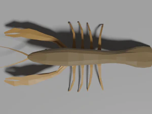 low-poly crayfish 3D Model