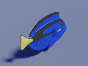 低聚刺尾鱼 3D 模型