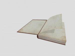 livro antigo em branco Modelo 3D