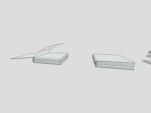 blank old book 3D 模型