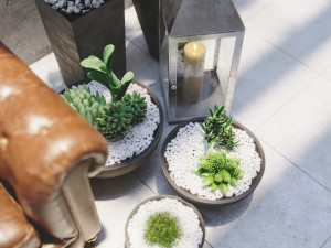 realistic courtyard interior scene with plants in pots - corona render 3D मॉडल