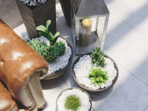 realistic courtyard interior scene with plants in pots - corona render 3D Model