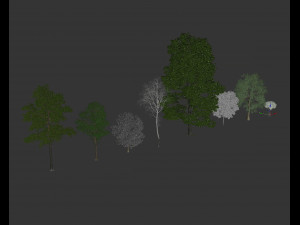 realistic exterior lake house in the woods Model 3D