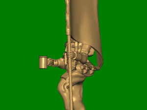 britishstandardbearer 3D Принт Модель