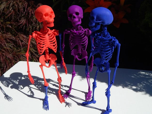 skeleton 3D Print Model .c4d .max .obj .3ds .fbx .stl .blend 