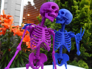 skeleton Modello di stampa 3D