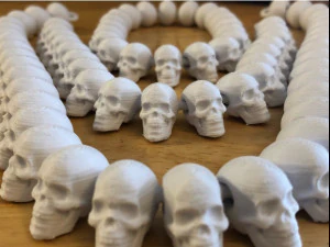 skull 3D Print Model