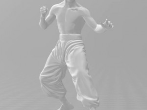 bruce lee 3D Print Model