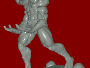 goro 3D Druckmodell