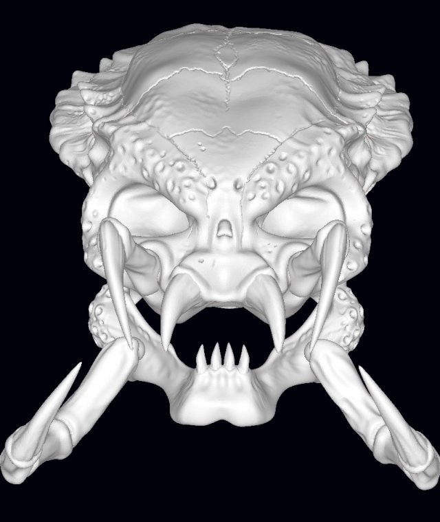 predator skull 3D-printmodel .c4d .max .obj .3ds .fbx .stl .blend 