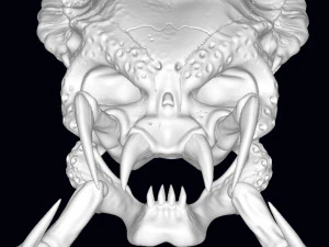 czaszka drapieżnika Model do druku 3D