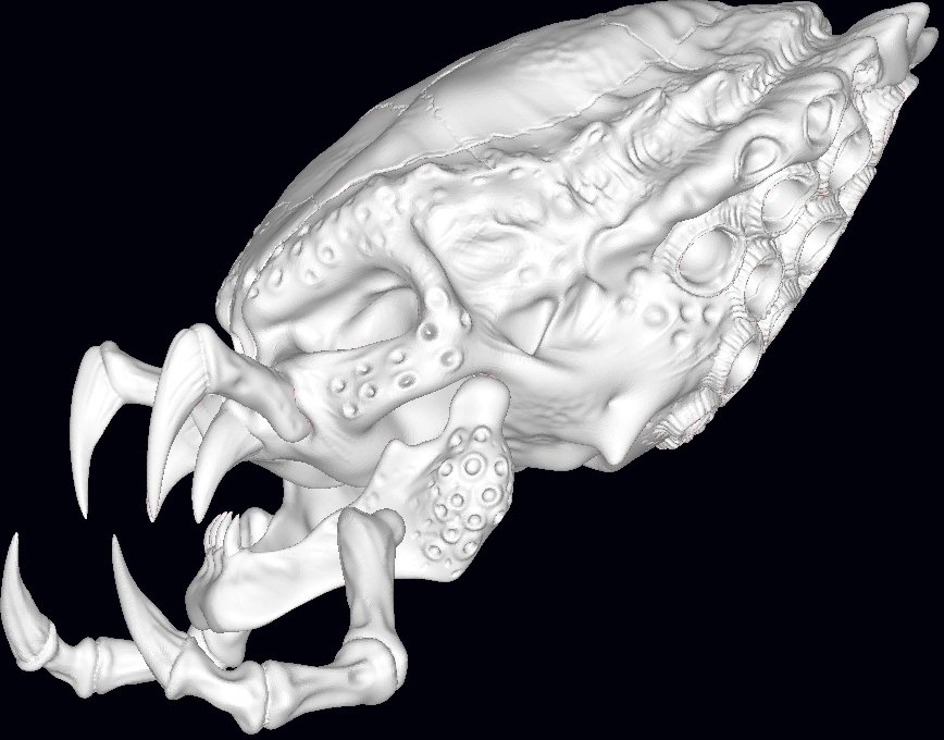 Череп три рыбы. Череп три рыбы. Череп три рыбы. Европейский удильщик скелет. Череп три рыбы.