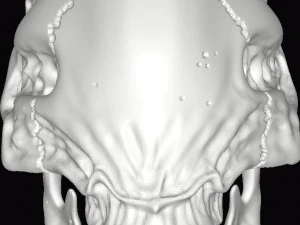 alien xenomorph skull 3D Print Model