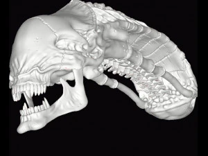 alien xenomorph skull 3D Print Model