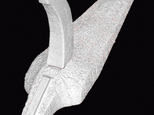 alien xenomorph skull 3D Принт Модель