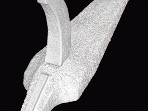 alien xenomorph skull 3D Print Model