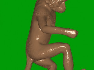 monkey-lamp 3D 프린트 모델