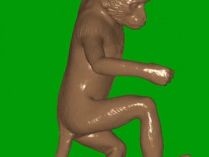 monkey-lamp 3D Print Model