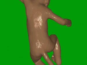 monkey-lamp 3D Print Model