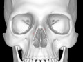 Detailed-human-skull 3D Models