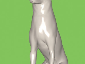 Dog 3D Model