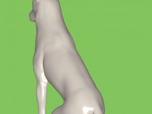 Dog Modello 3D