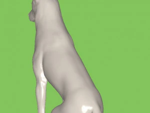 Dog 3D Model