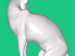 Cat 3D 模型