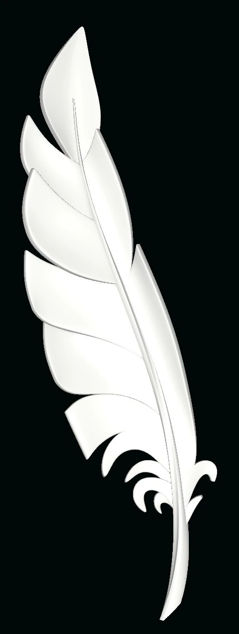 New-feather 3D Model .c4d .max .obj .3ds .fbx .stl .blend 