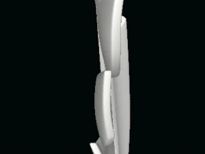 New-feather 3D Model