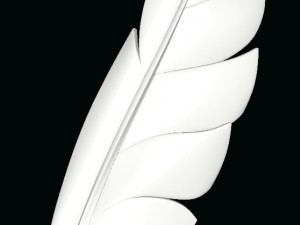 New-feather 3D Модель