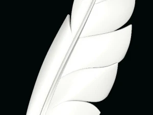 New-feather 3D Model