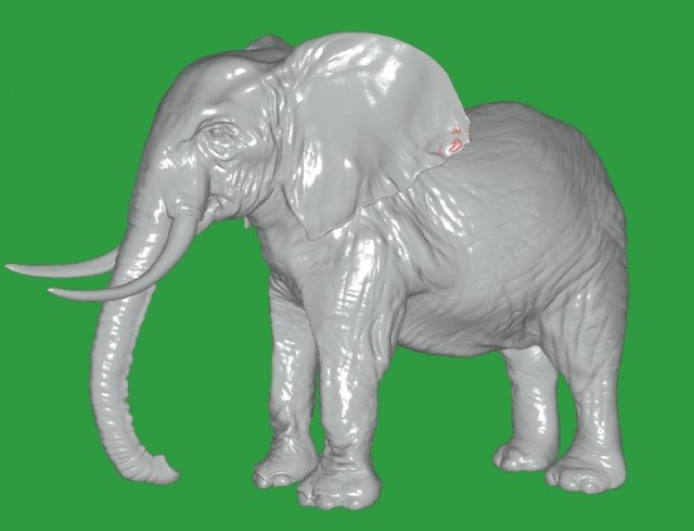 Elephant 3D 模型 .c4d .max .obj .3ds .fbx .stl .blend
