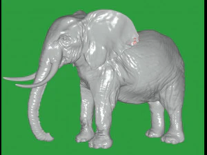 Elephant 3D Model