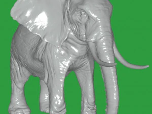Elephant 3D Model