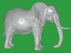 Elephant 3D 模型