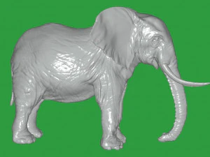 Elephant 3D Model