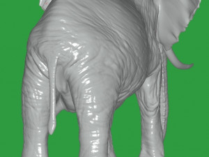 Elephant 3D 模型
