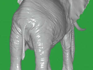 Elephant 3D Model