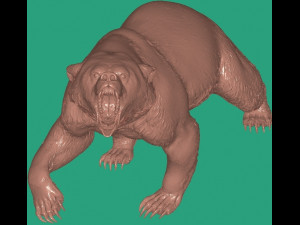 Bear Modello 3D