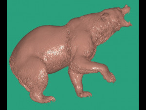 Bear Modelo 3D