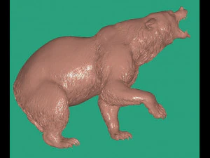 Bear 3D Model