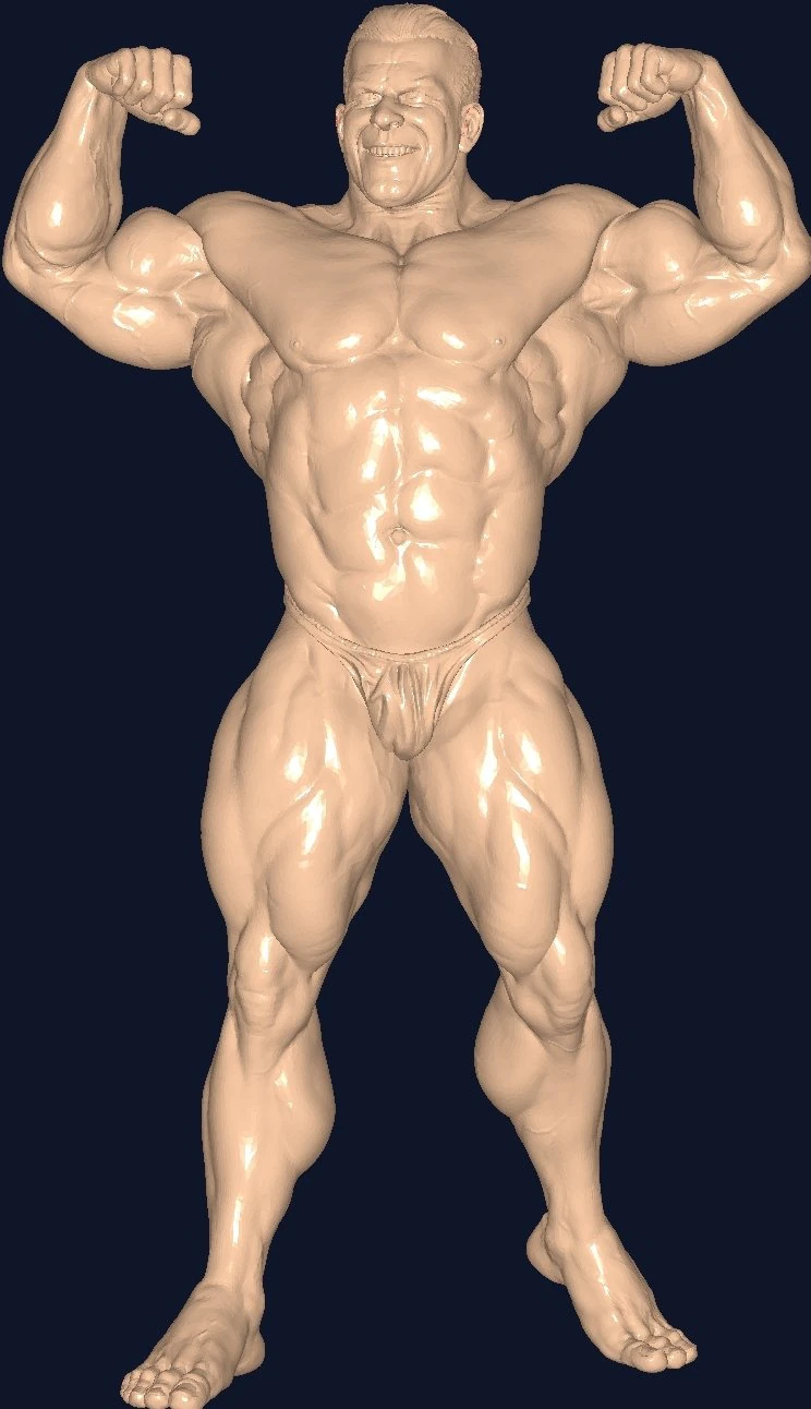 Bodybuilder 3D Model .c4d .max .obj .3ds .fbx .stl .blend 
