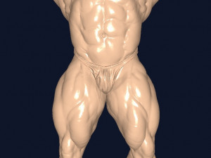 Bodybuilder 3D Model