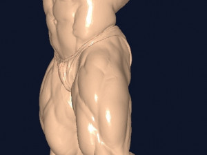 Bodybuilder 3D-Modell