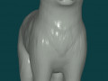 Cat Modèle 3D
