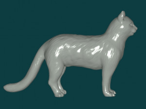 Cat Modello 3D
