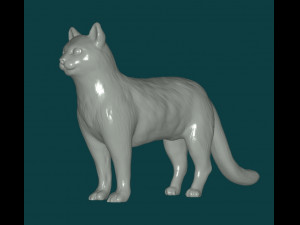 Cat Modello 3D